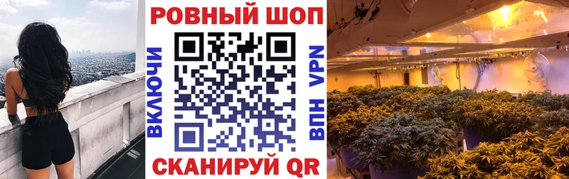Все наркотики Коряжма Конопля  Бутират  ГАШ  Cocaine 