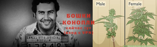 эйфоретик Гусев