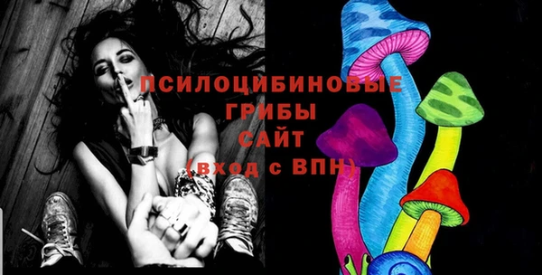 ECSTASY Гусиноозёрск
